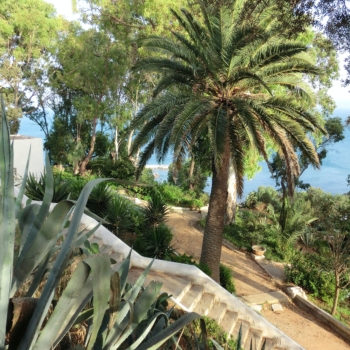 So zaubern Sie mediterranes Ambiente in Ihren Garten