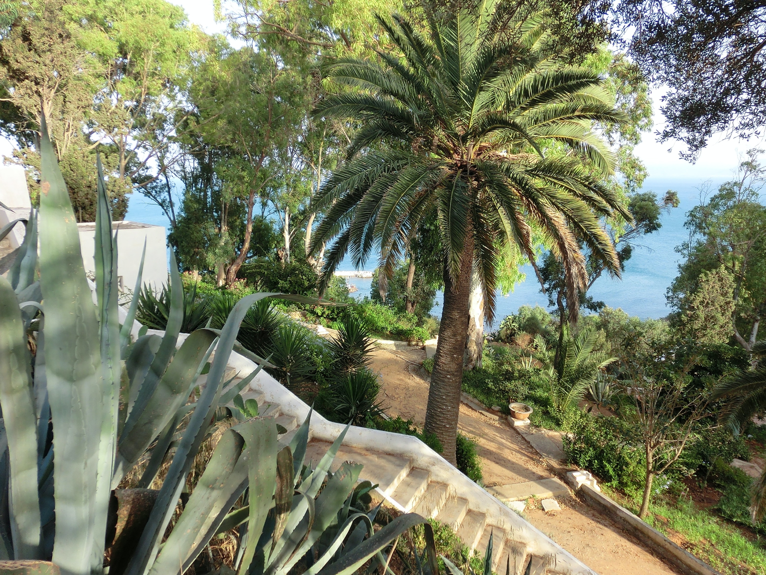 So zaubern Sie mediterranes Ambiente in Ihren Garten Vorschau