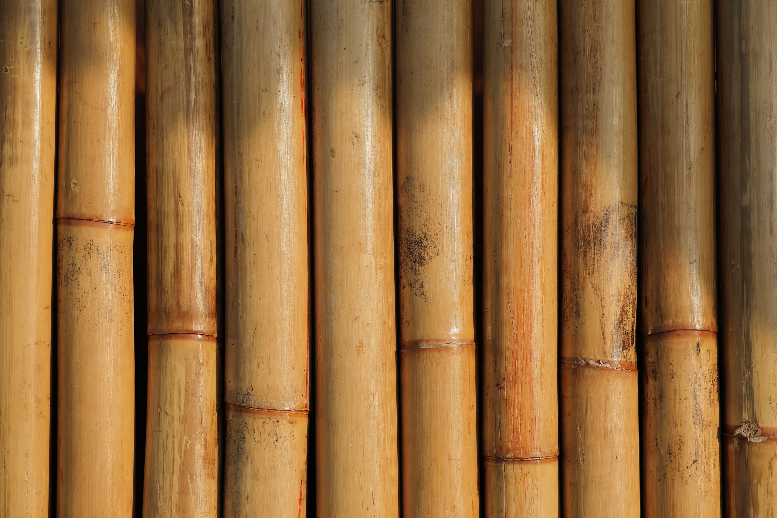 Bambus – Ein edler Baustoff