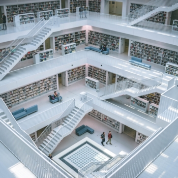 Edle Regale: Ideale Raumteiler und eine perfekte Lösung für die eigene Bibliothek